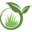 Bradenton Lawn Clean Up