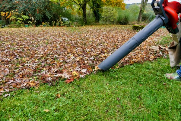 Cost of Leaf Vacuuming Service in Bradenton