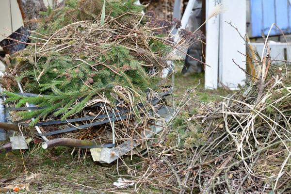 Cost of Yard Debris Removal in Bradenton