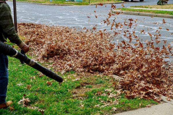 Cost of Garden Leaf Removal in Bradenton