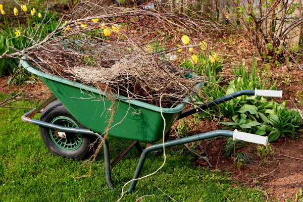 Cost of Lawn Waste Removal in Bradenton
