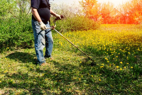 Cost of Yard Clearing Service in Bradenton